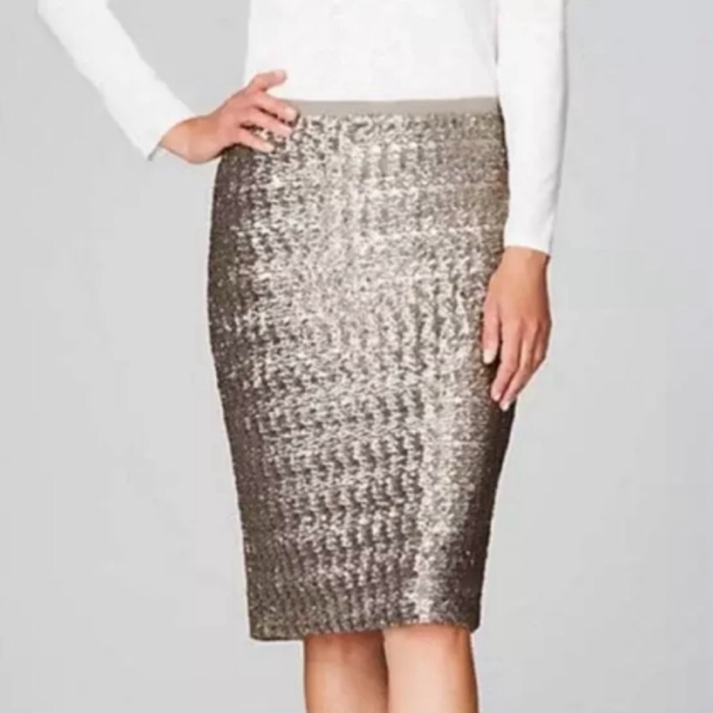 JJill sequin skirt